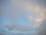 IMGP2615.jpg