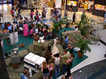 IMGP2655.jpg