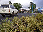 IMGP2663.jpg
