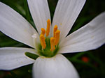 IMGP2668.jpg