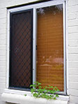 IMGP2722.jpg