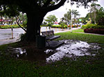 IMGP2727.jpg