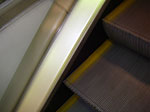 IMGP2744.jpg