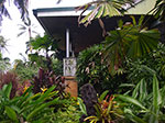 IMGP2773.jpg