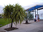 IMGP2910.jpg