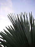 IMGP2911.jpg