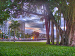 IMGP2952-hdr.jpg