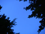 IMGP2957.jpg