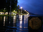 IMGP3016.jpg