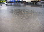 IMGP3049.jpg