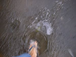IMGP3050.jpg