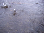 IMGP3062.jpg