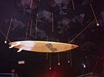 IMGP3135.jpg