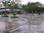 IMGP3159.jpg