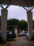 IMGP3162.jpg