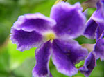 IMGP3205.jpg