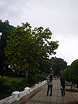 IMGP3239.jpg