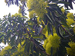 IMGP3246.jpg