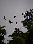 IMGP3250.jpg