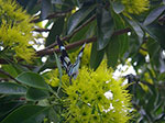 IMGP3301.jpg