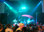 IMGP3332.jpg