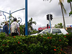 IMGP3376.jpg