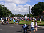 IMGP3443.jpg