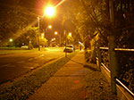 IMGP3510.jpg