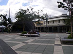 IMGP3523.jpg