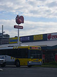 IMGP3566.jpg