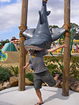 IMGP3589.jpg