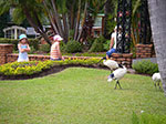 IMGP3595.jpg