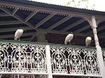 IMGP3603.jpg