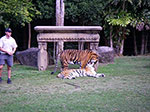 IMGP3705.jpg