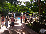 IMGP3798.jpg