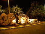 IMGP3958.jpg