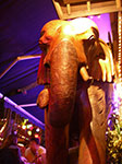 IMGP3962.jpg