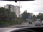 IMGP3981.jpg