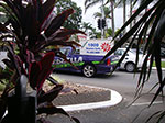 IMGP4061.jpg