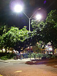 IMGP4172.jpg
