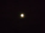 IMGP4199.jpg