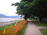 IMGP4207.jpg