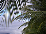 IMGP4210.jpg