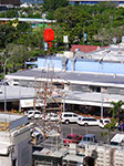 IMGP4232.jpg