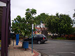 IMGP4284.jpg