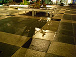 IMGP4313.jpg