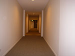 IMGP4353.jpg