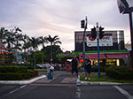 IMGP4397.jpg
