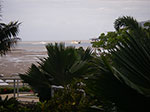IMGP4486.jpg