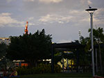 IMGP4503.jpg